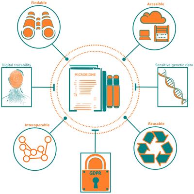 FAIR compliant database development for human microbiome data samples